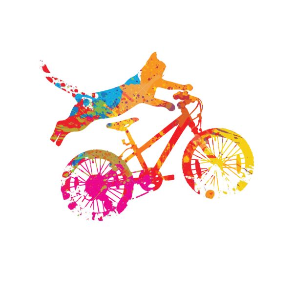 cat on a bike Thumbnail